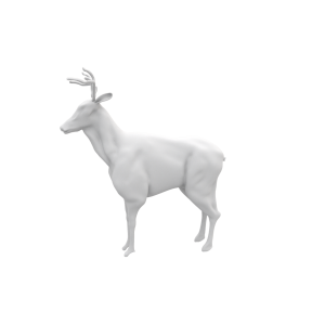 Deer - Base Mesh - 3D Model