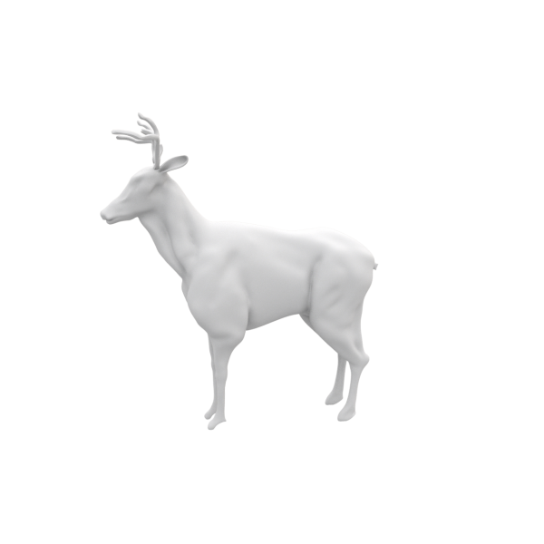 Deer - Base Mesh - 3D Model