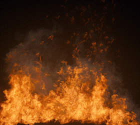 2+ New Products Added to the Library in August 2025